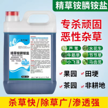 10斤精草铵膦铵盐高浓度除草剂荒地节节草小飞蓬