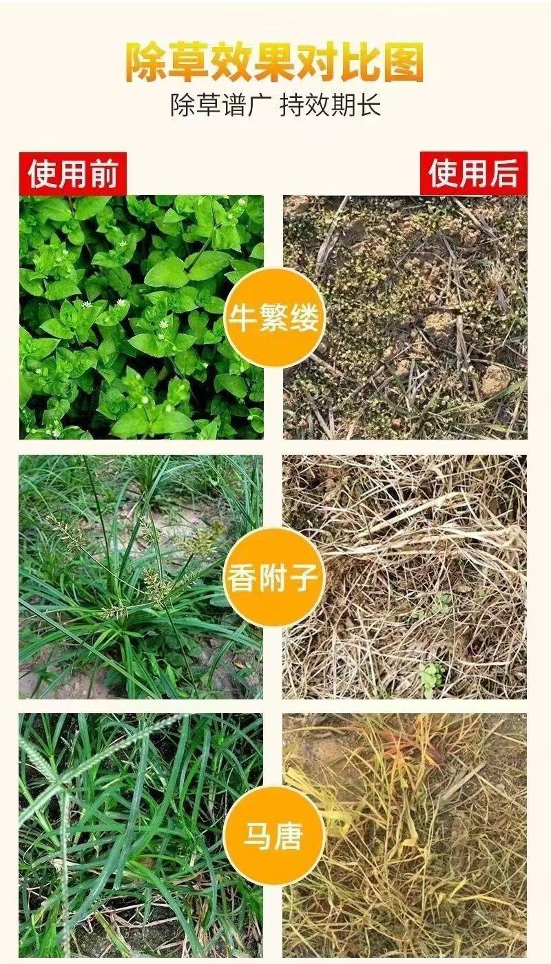 10斤精草铵膦铵盐除草剂果园荒地牛筋草小飞蓬专用杀草剂