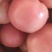 山东硬粉西红柿产地价格包上车保质保量欢迎联系量大价优