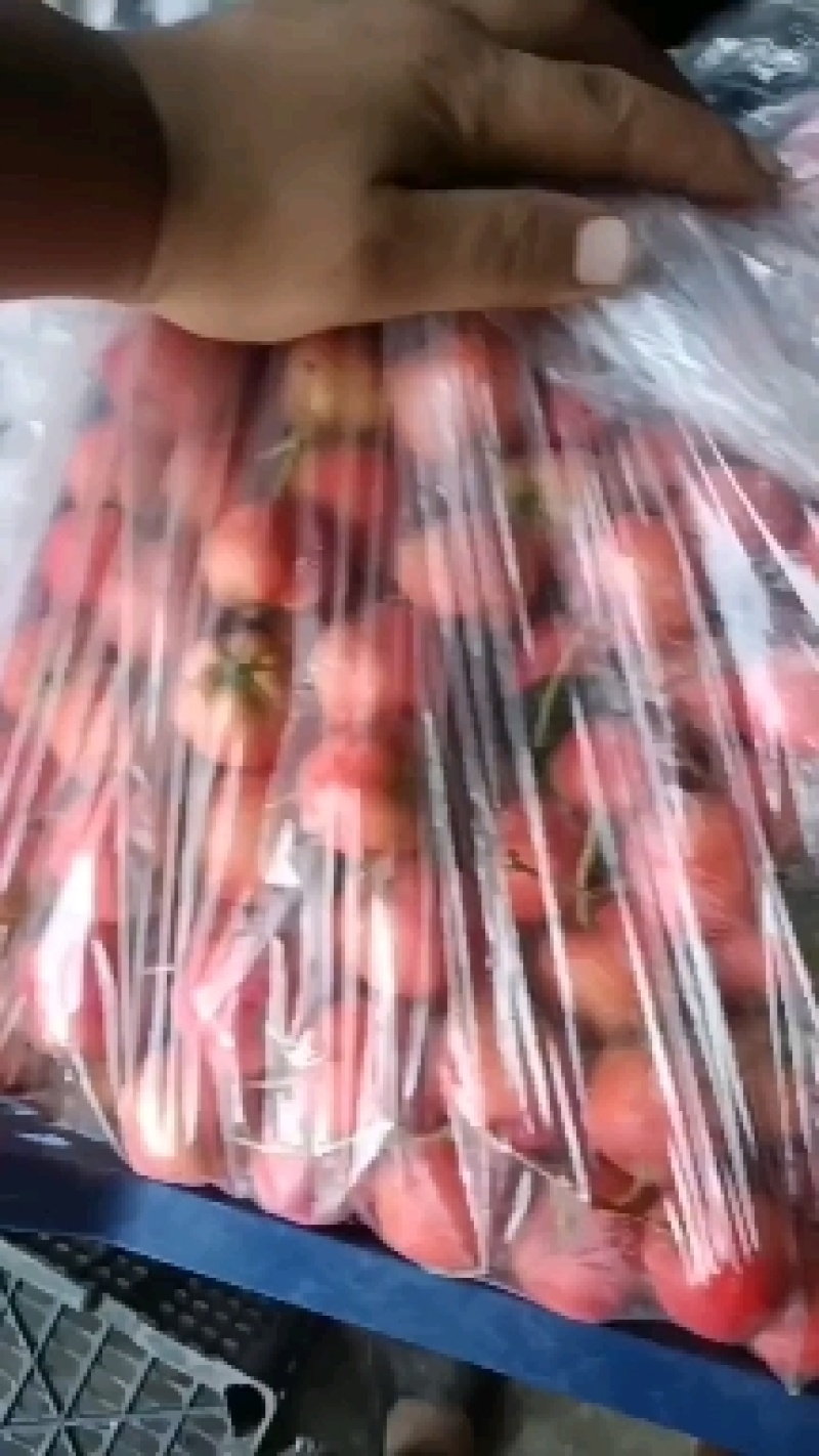 棉球罐头果
