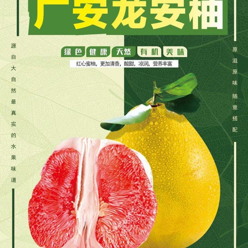 龙安柚