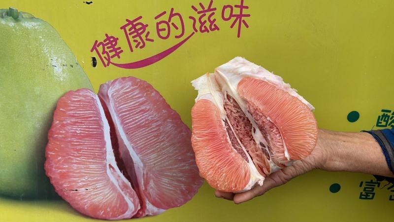 龙安柚
