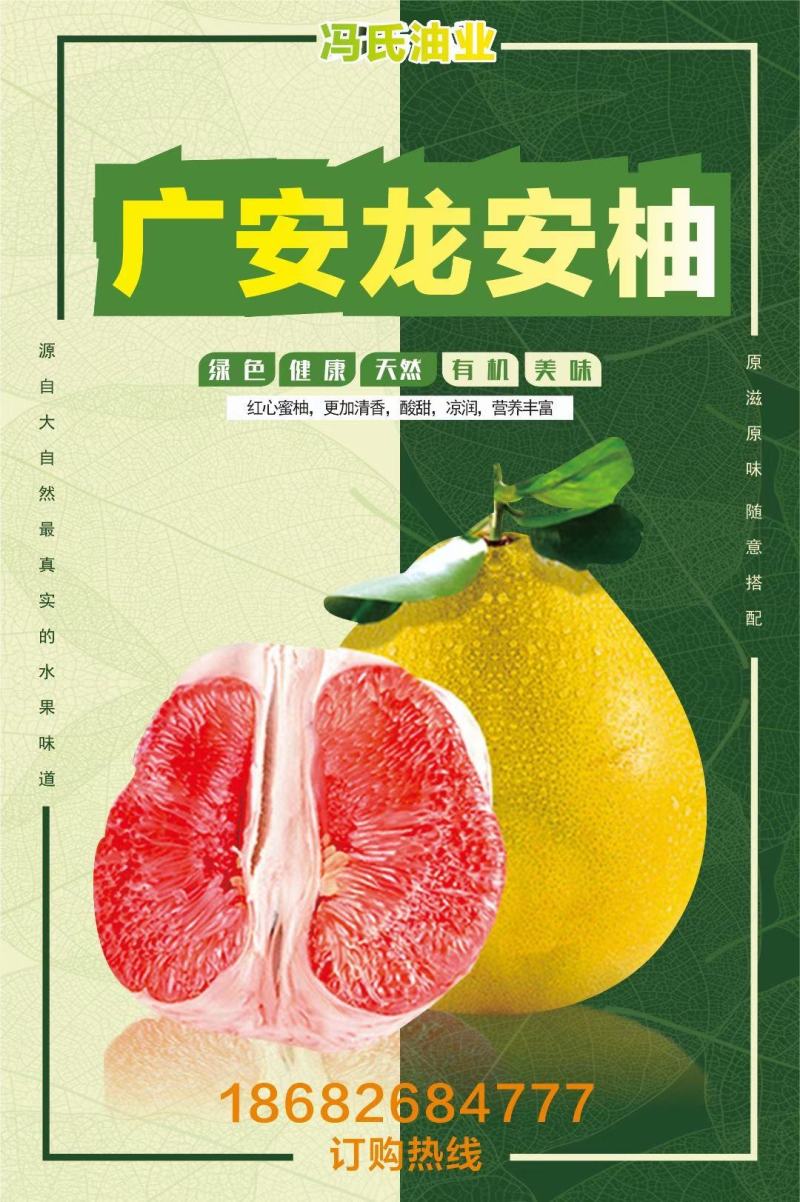 龙安柚