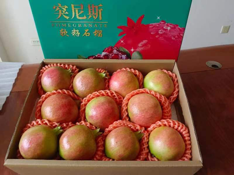 会理软籽石榴