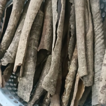 纯野生的救必应，自然晒干