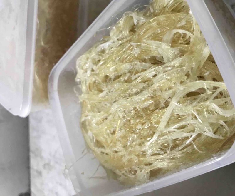 清水手洗鱼翅