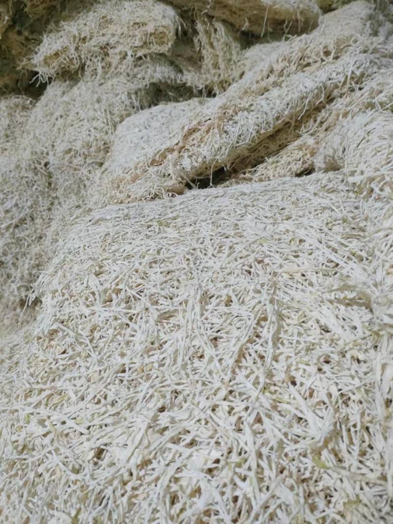 精品包菜丝产地直发品质保证一手货源量大从优欢迎联系