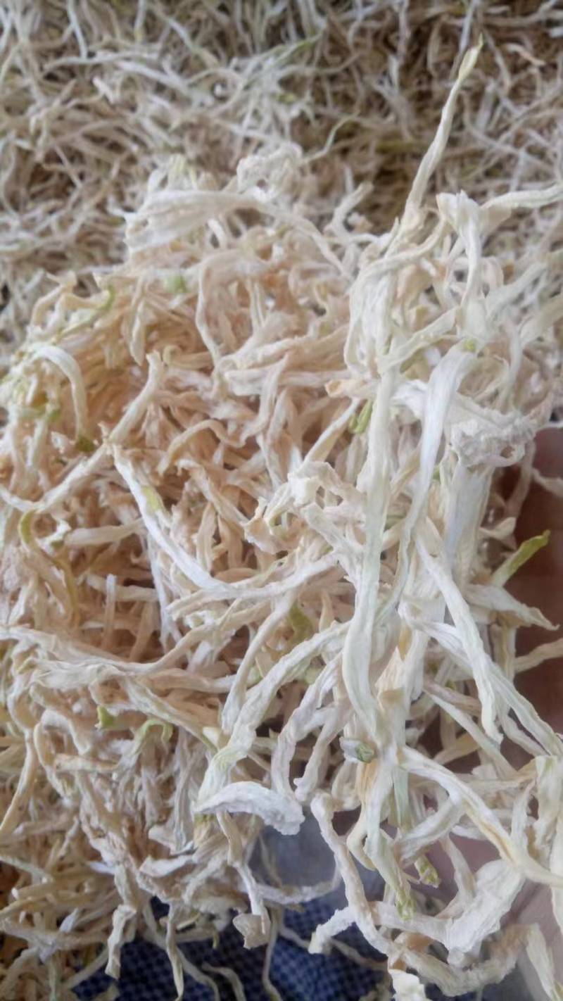精品包菜丝产地直发品质保证一手货源量大从优欢迎联系