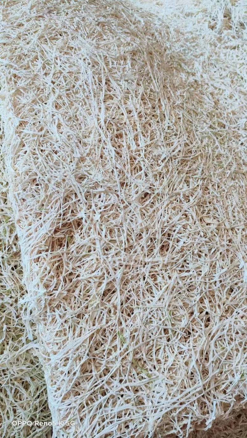 精品包菜丝产地直发品质保证一手货源量大从优欢迎联系