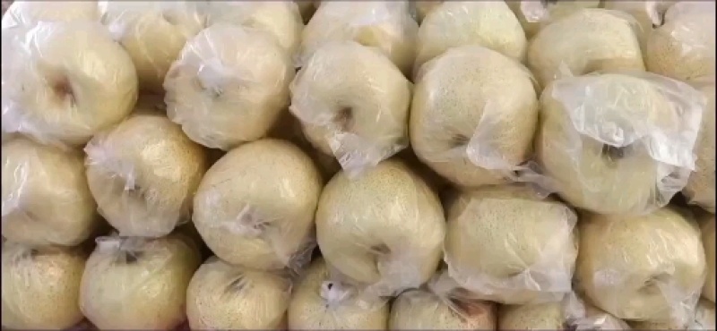 江苏丰县酥梨