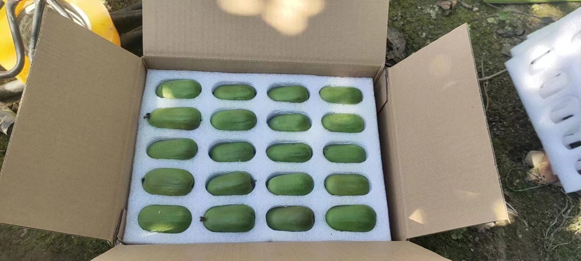 青皮猴头核桃礼盒设计图