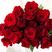 高原红玫瑰鲜花小玫瑰山东鲜花中秋国庆婚礼送女朋友表白生日