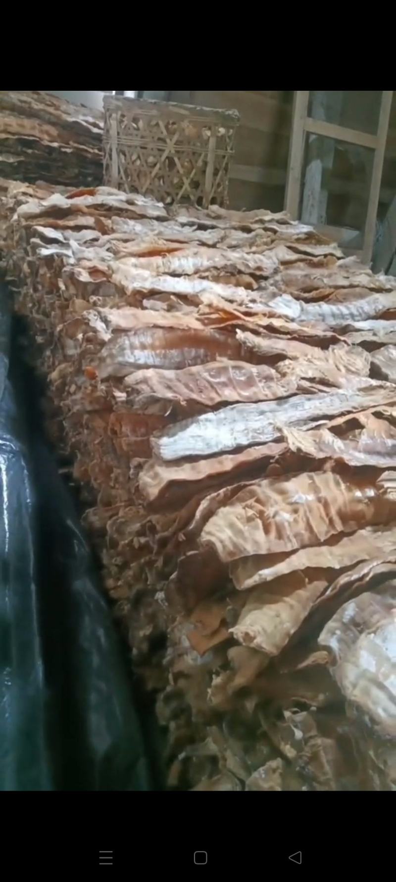 野生楠竹精品压榨笋干