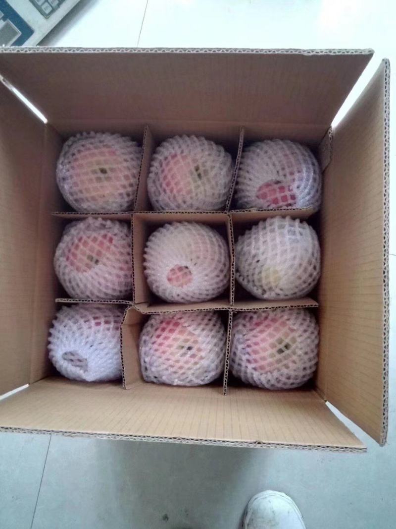 甘肃精品红富士片红条红色泽口感超值产地直发货