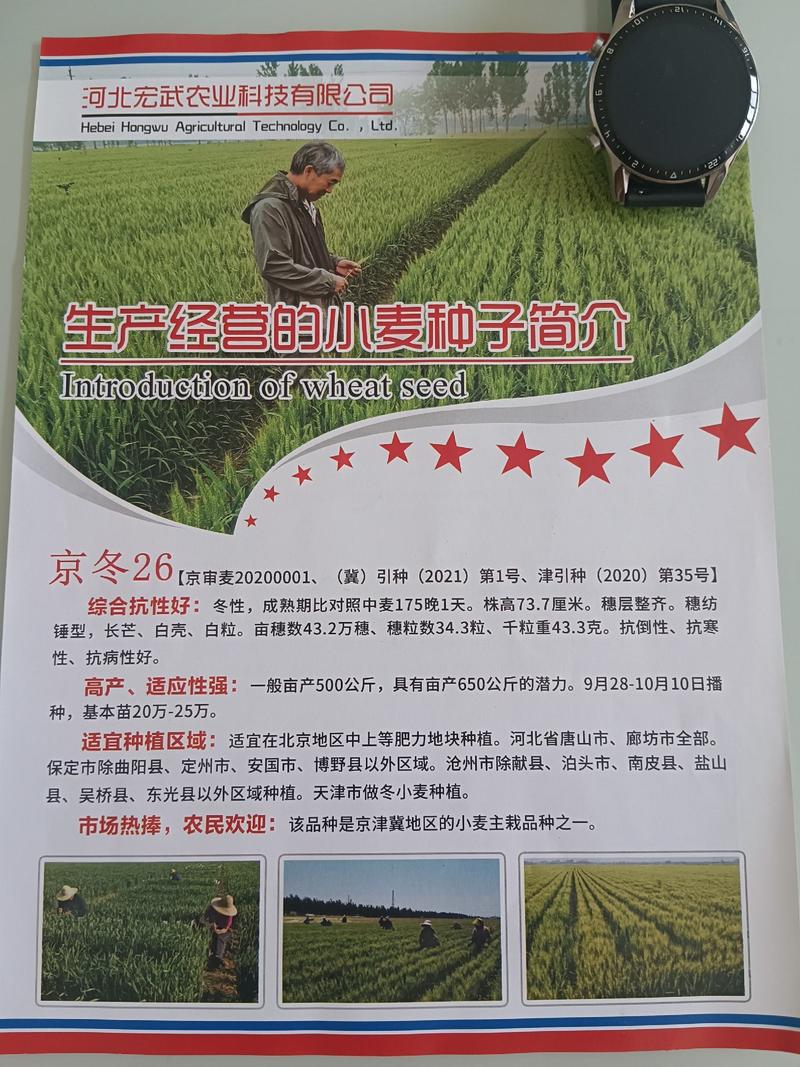 河北宏武农业科技有限公司冬小麦厂家直销