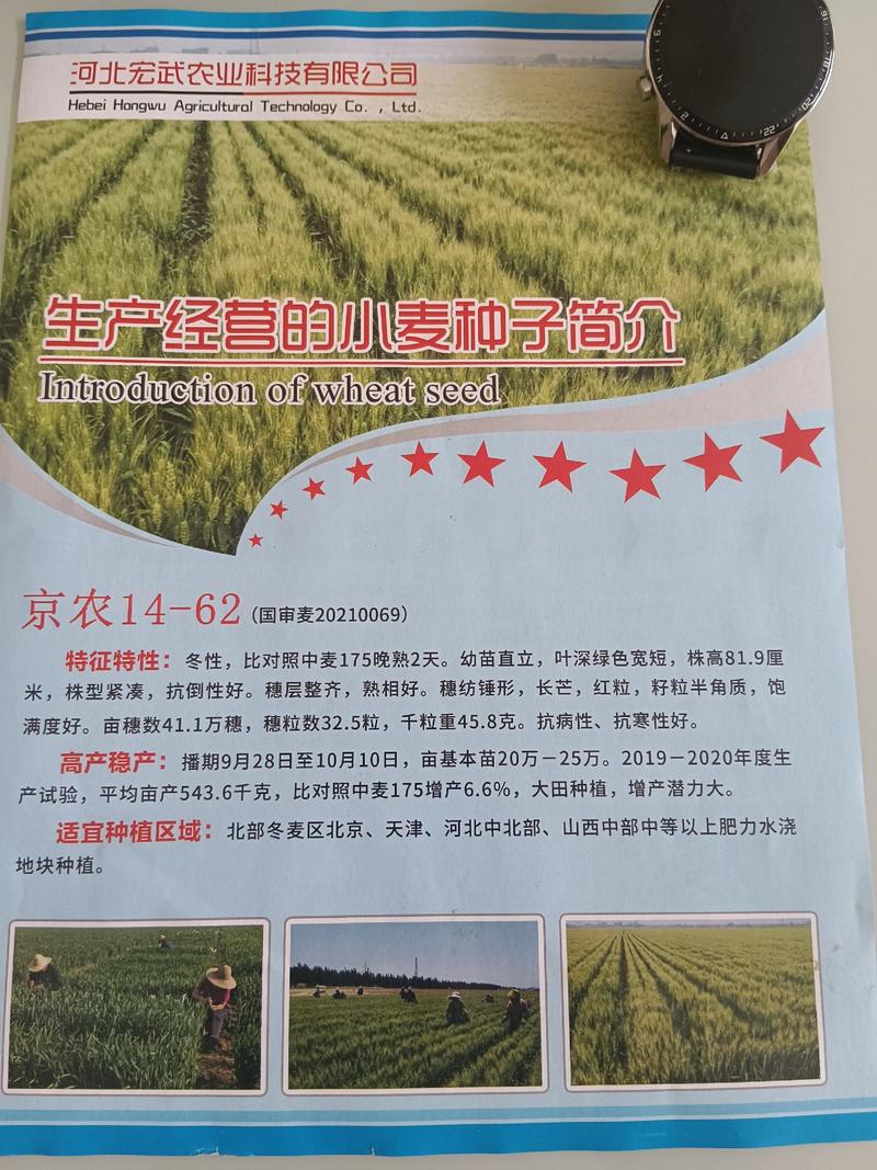 河北宏武农业科技有限公司冬小麦厂家直销