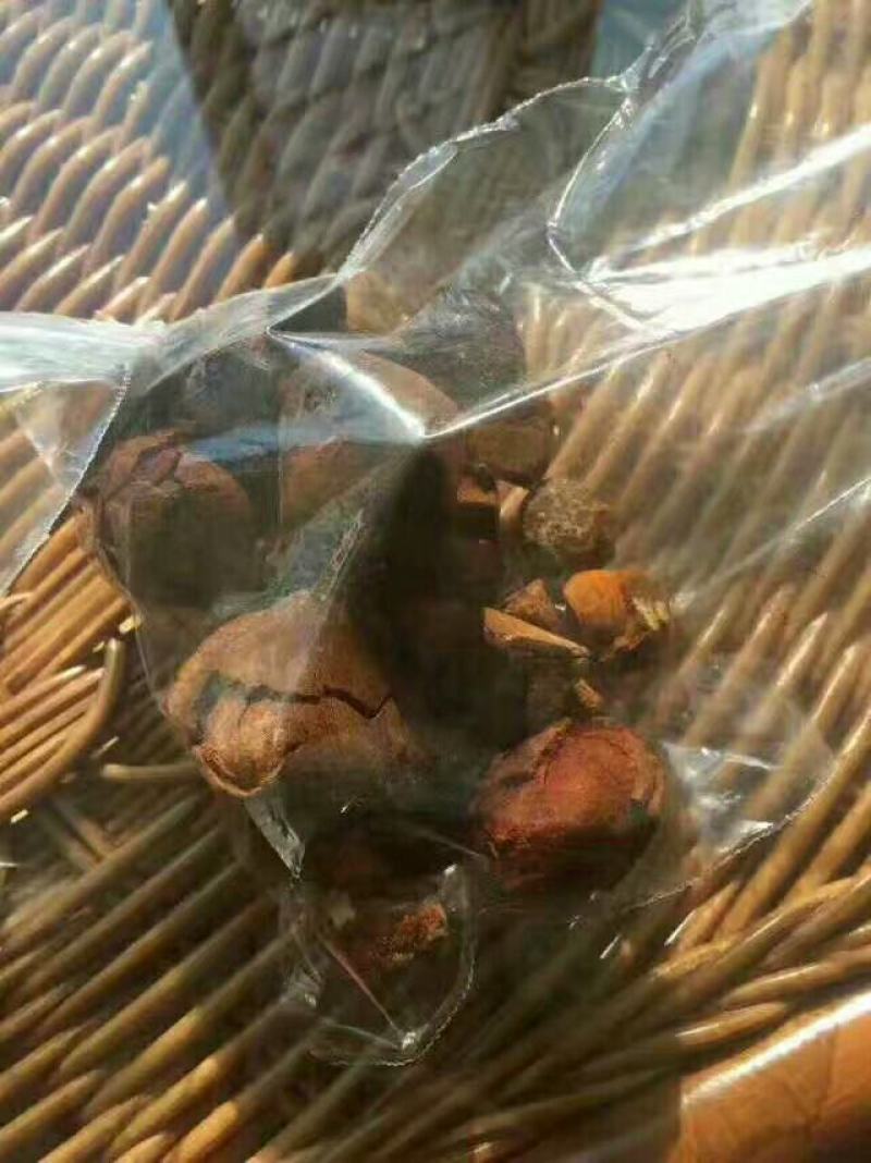 新鲜天然牛黄屠宰场供应还有货湿哒哒的新鲜货干