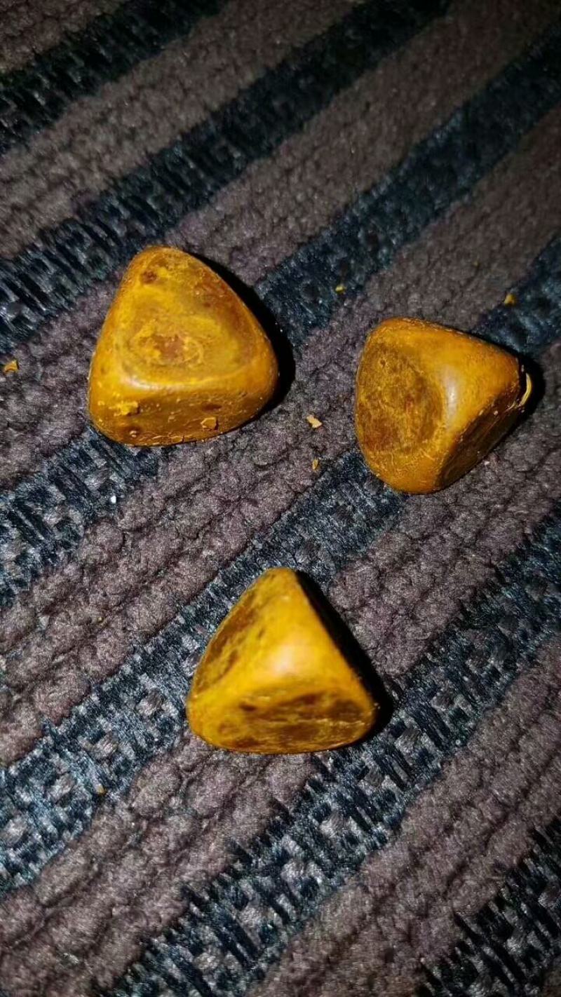 新鲜天然牛黄屠宰场供应还有货湿哒哒的新鲜货干