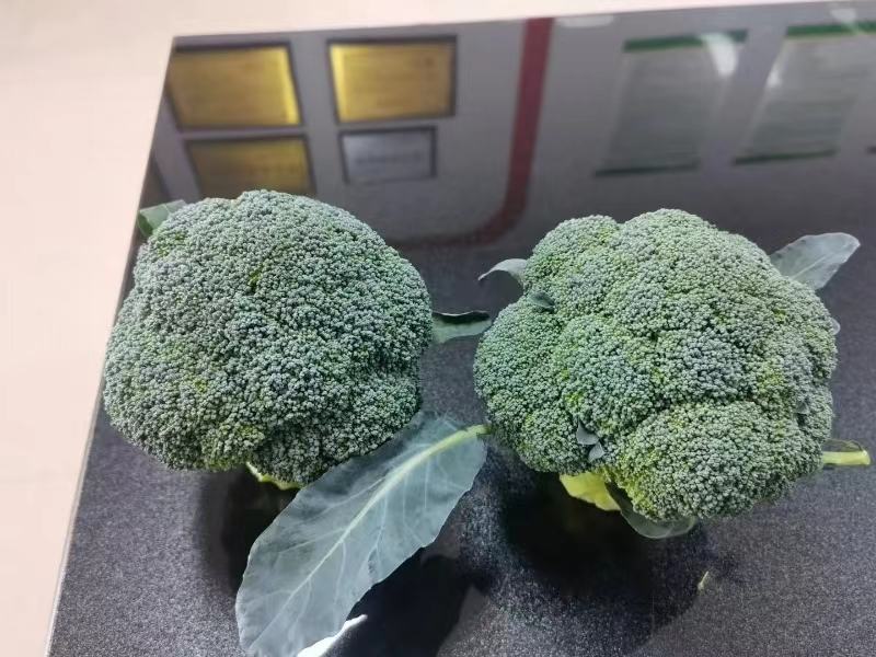 健康饮食中的西兰花