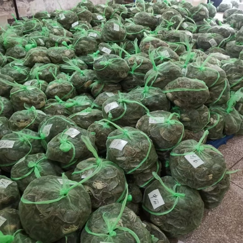 现货江苏大闸蟹公蟹批发市场饭店商超规格齐全量大从优