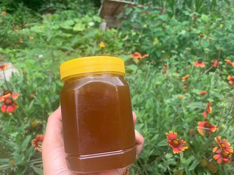纯正蜂蜜特写