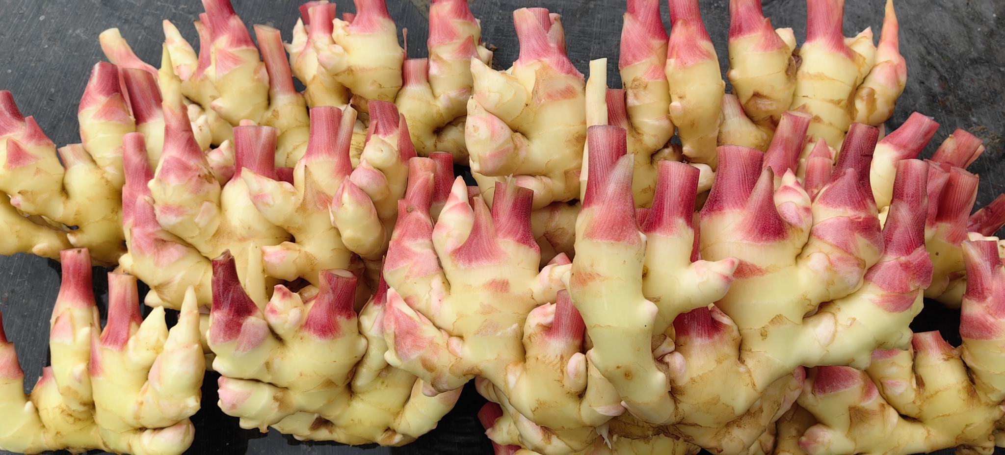 酸辣嫩姜片特写图