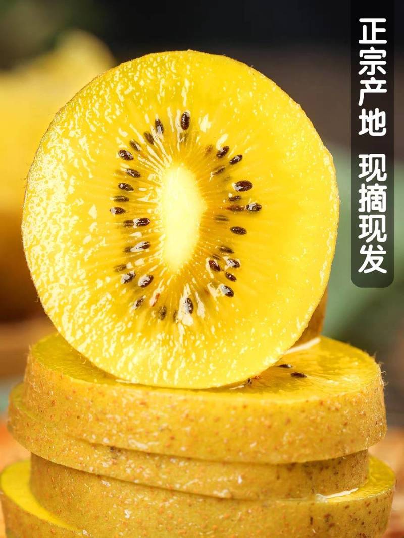黄心猕猴桃一件代发整车团购批发