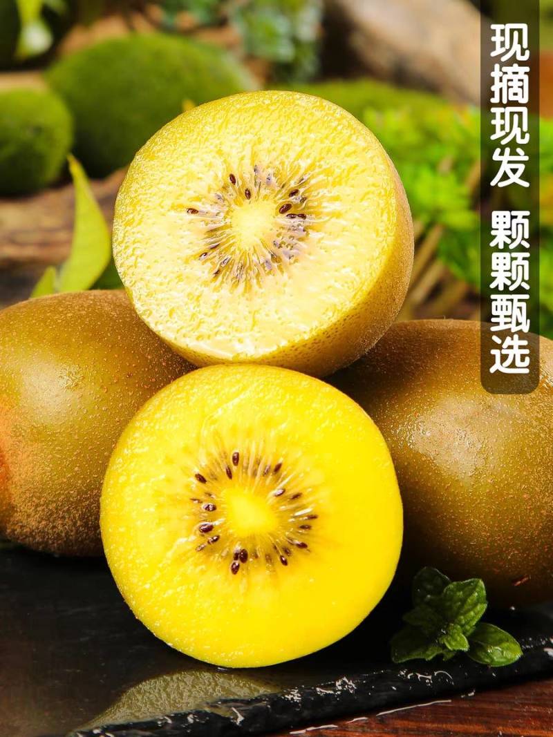 黄心猕猴桃一件代发整车团购批发
