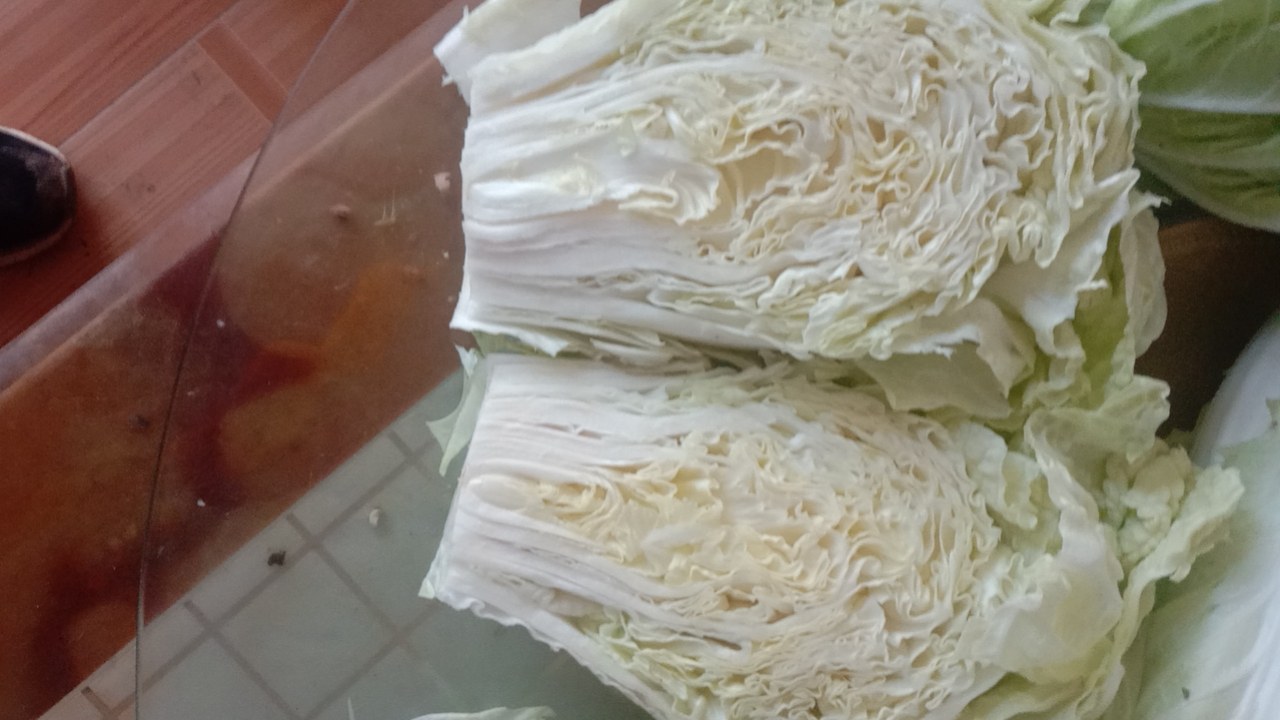 夏阳白菜制作的清爽沙拉