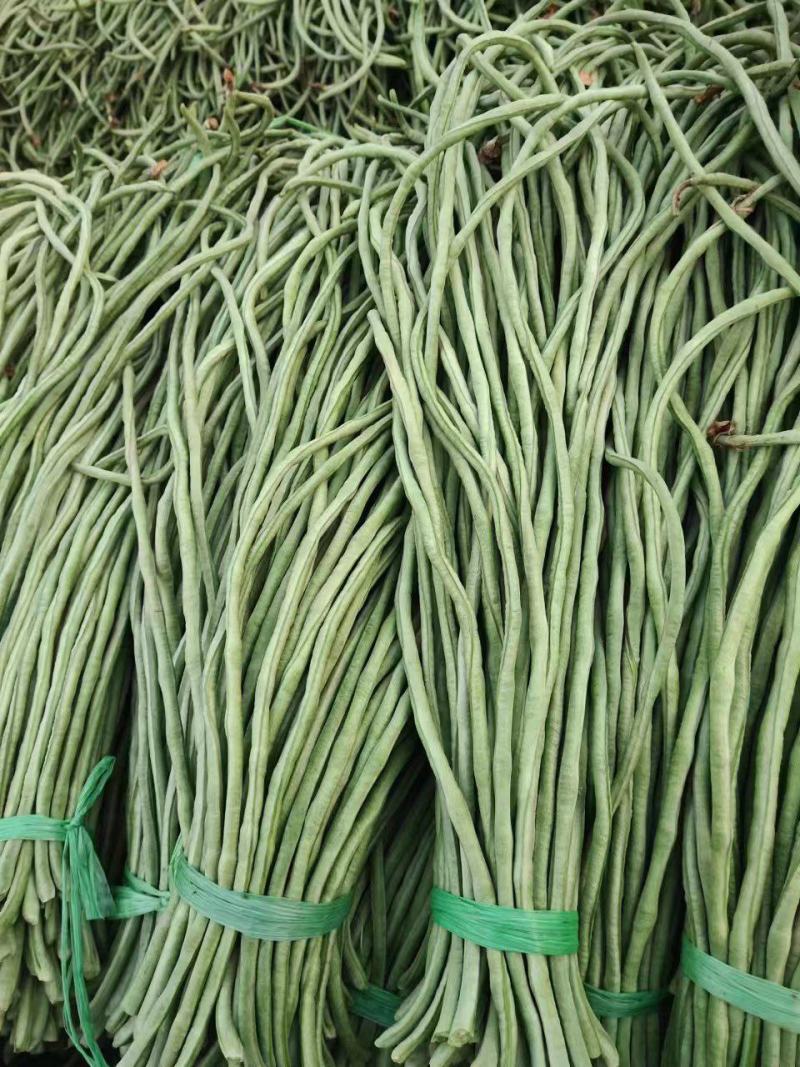 精品长豆角大量供应，价格不贵，质量非常好，要的老板联系