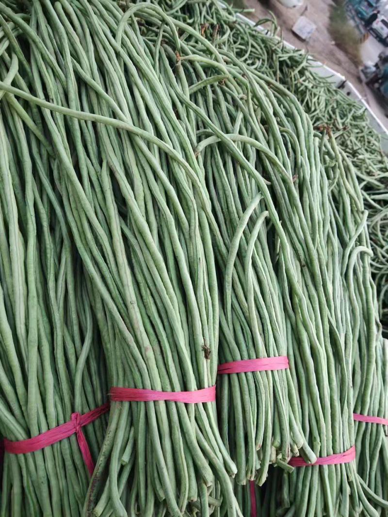 精品长豆角大量供应，价格不贵，质量非常好，要的老板联系