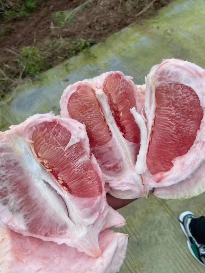 来哦，，有大，，有红的，，三红柚，，，，，，，，