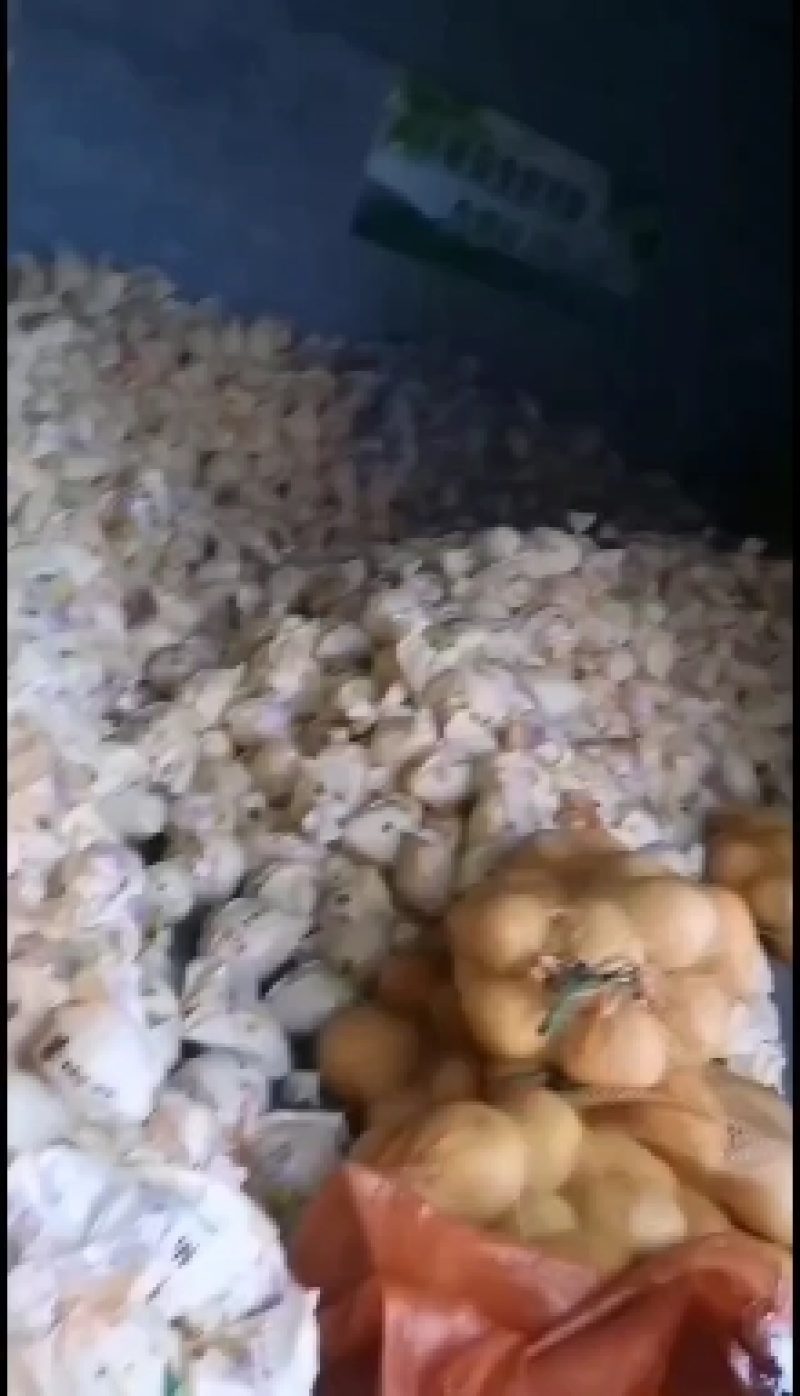 正宗红心柚。白柚有需要的可以跟我联系，，，，，，