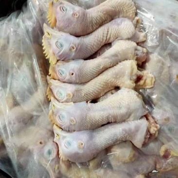 鸡头脖新货现货