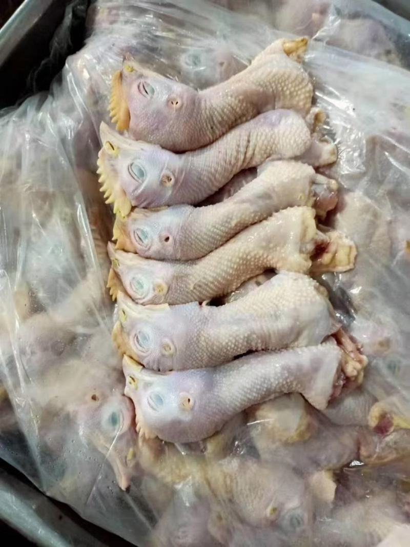 鸡头脖新货现货