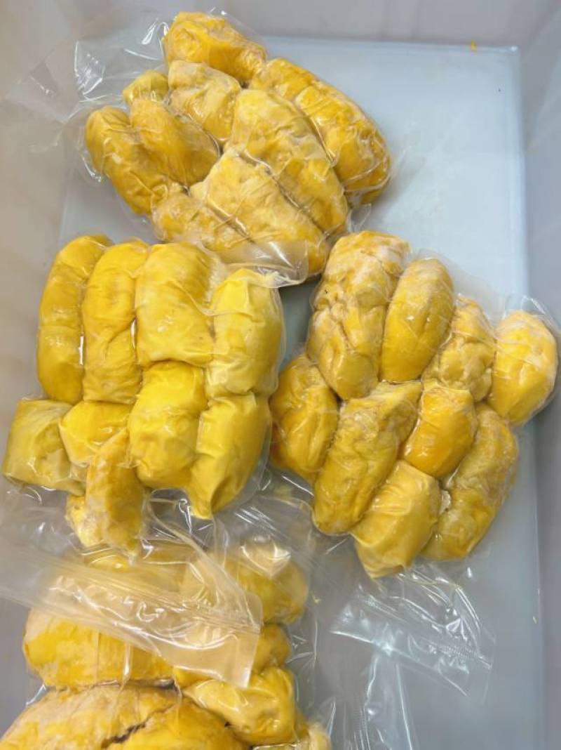 泰猫AB货平台款性价比**冷冻榴莲榴莲果肉