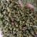 精选青花椒大量上市货源充足对接各大电商批发商欢迎致电