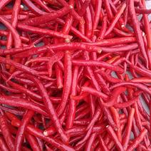 陕西洛南三号七号红线椒，可做剁椒，打酱，无腐烂，条形直。