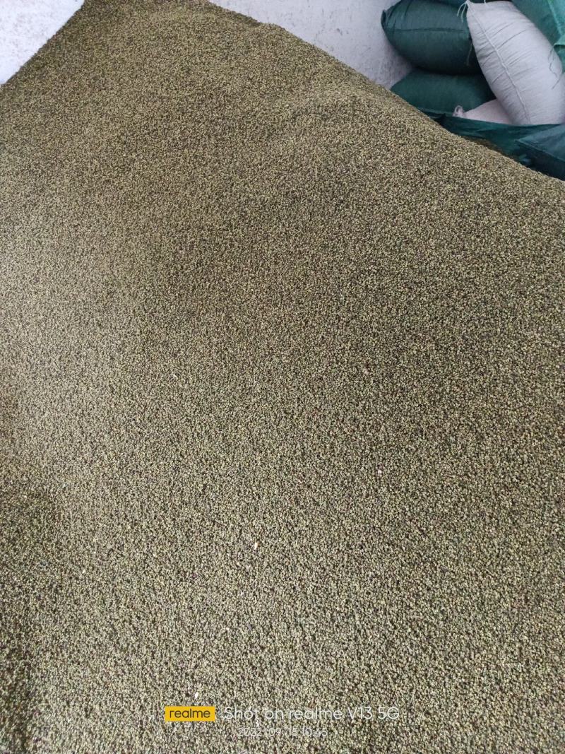 精选青花椒大量上市货源充足对接各大电商批发商欢迎致电