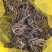 进口花毛茛洋牡丹种子种球根室内外植物四季开花
