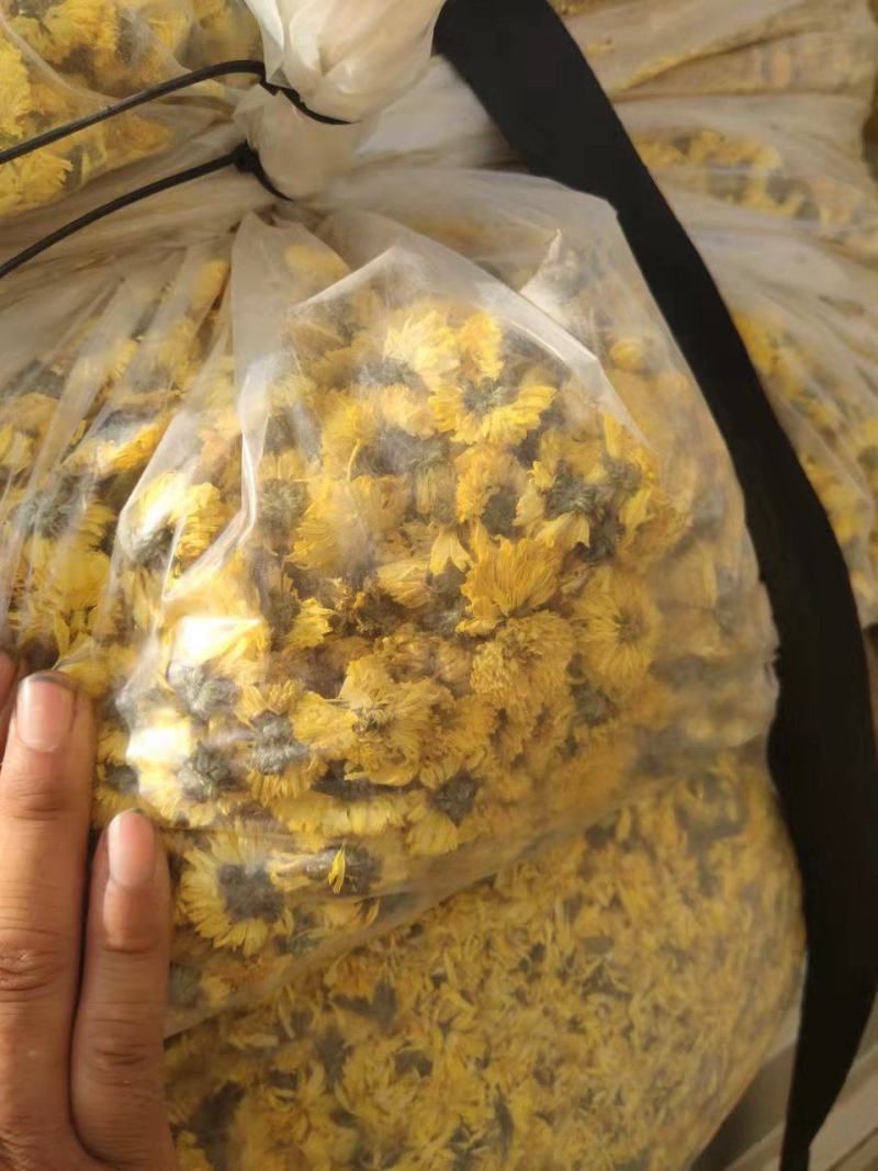 [推荐]菊花北京白菊花烘干菊花产地直发全国发货