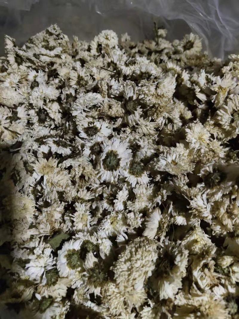 [推荐]菊花北京白菊花烘干菊花产地直发全国发货