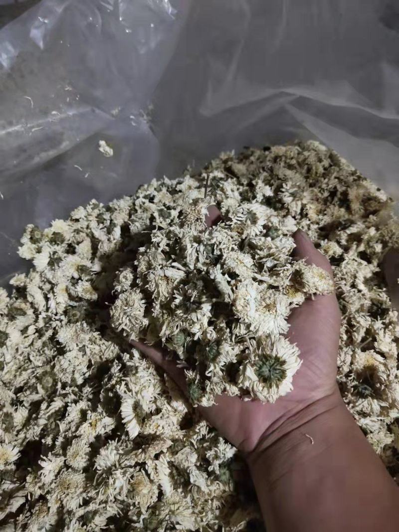 [推荐]菊花北京白菊花烘干菊花产地直发全国发货