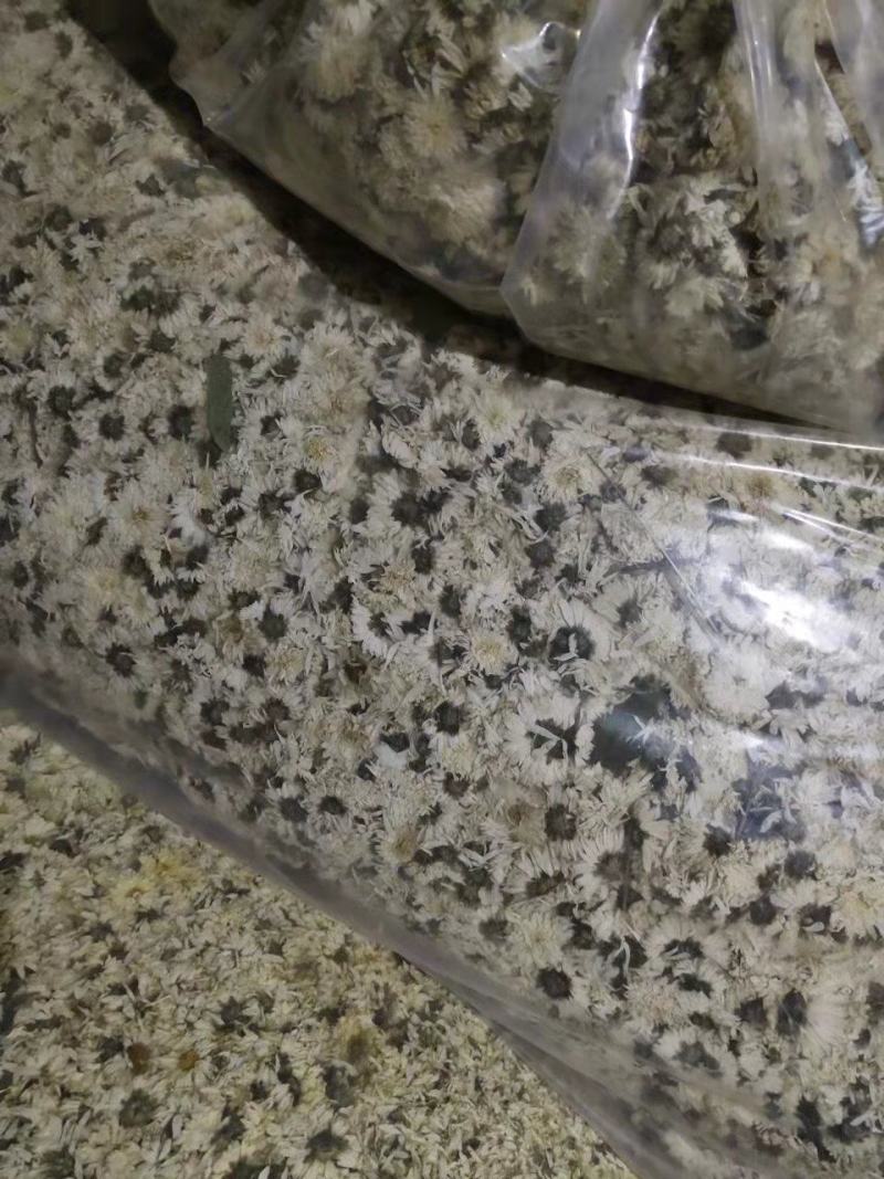[推荐]菊花北京白菊花烘干菊花产地直发全国发货
