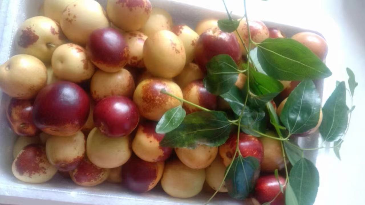 成熟冬枣特写照片,展示一颗半透明光泽的浅红晕冬枣,表皮光滑无皱褶,果蒂新鲜绿色,背景虚化突出主体,切面显示乳白色致密果肉与细小种子,体现其高水分、高脆度特点 冬枣特写高清图