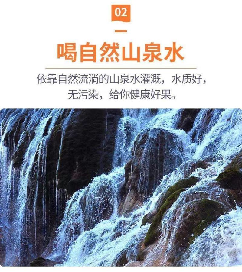 砀山梨秋月梨电商代发中秋礼品盒包装