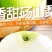 砀山梨秋月梨电商代发中秋礼品盒包装