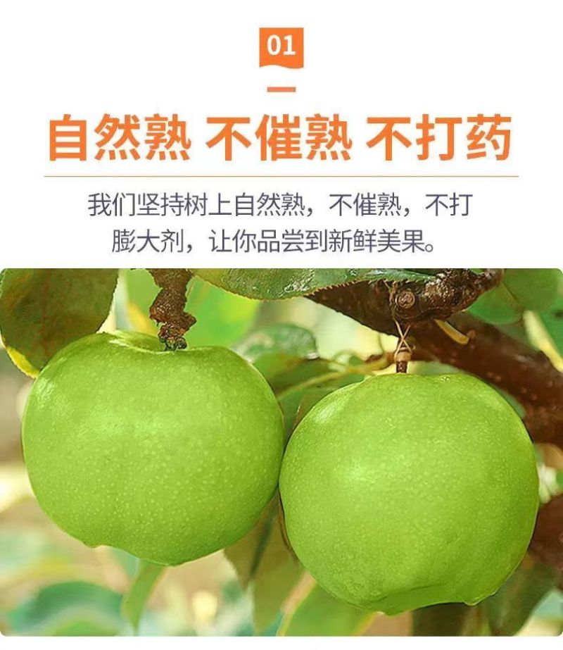 砀山梨秋月梨电商代发中秋礼品盒包装