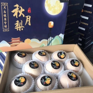 砀山梨秋月梨电商代发中秋礼品盒包装