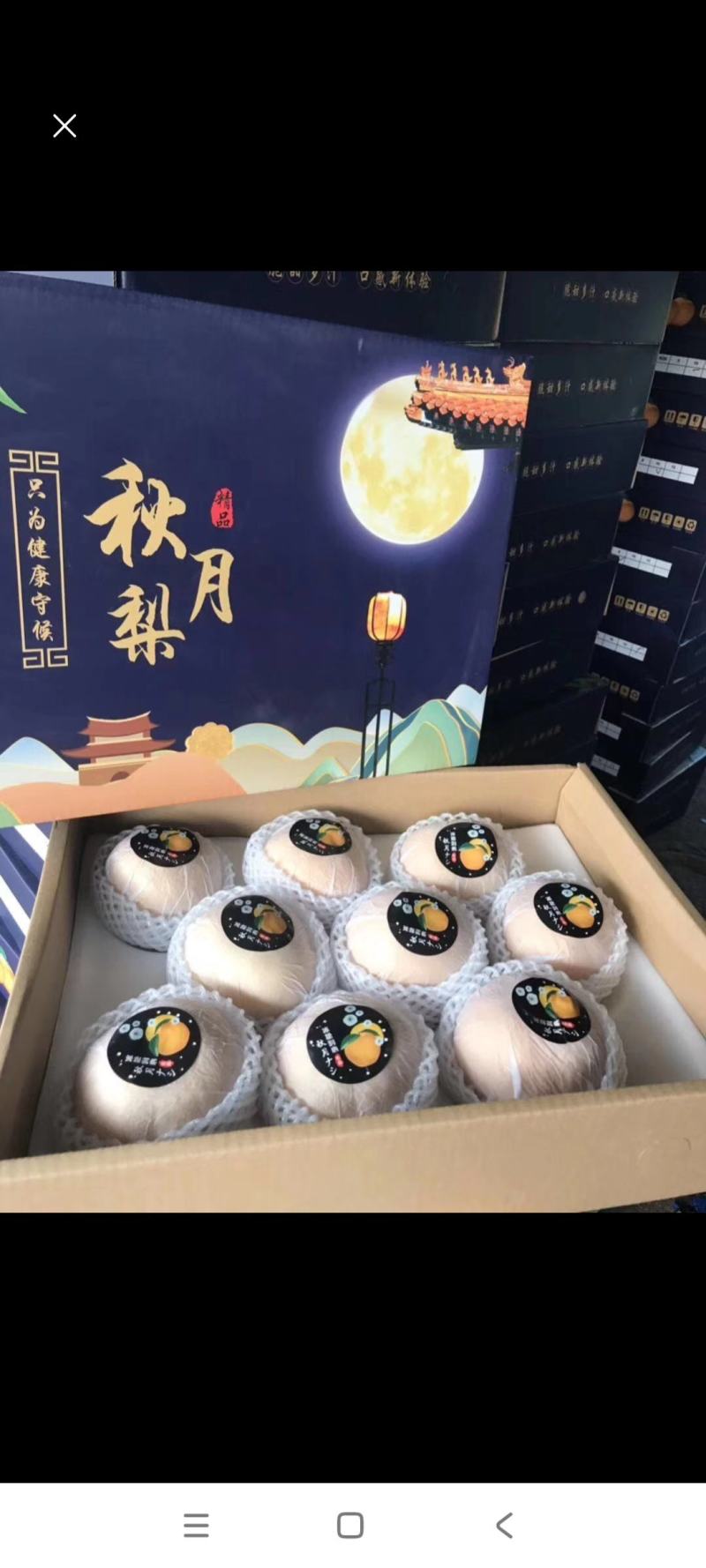 砀山梨秋月梨电商代发中秋礼品盒包装